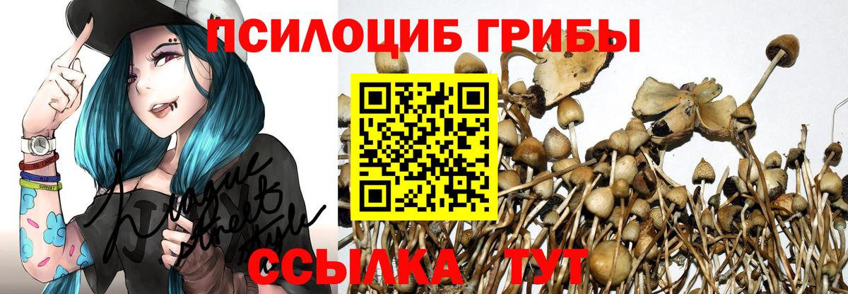 Галлюциногенные грибы Cubensis Салават