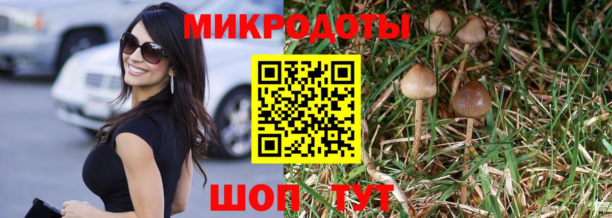 Псилоцибиновые грибы мухоморы  где купить   Вход с VPN  Салават  Псилоцибиновые грибы Cubensis 